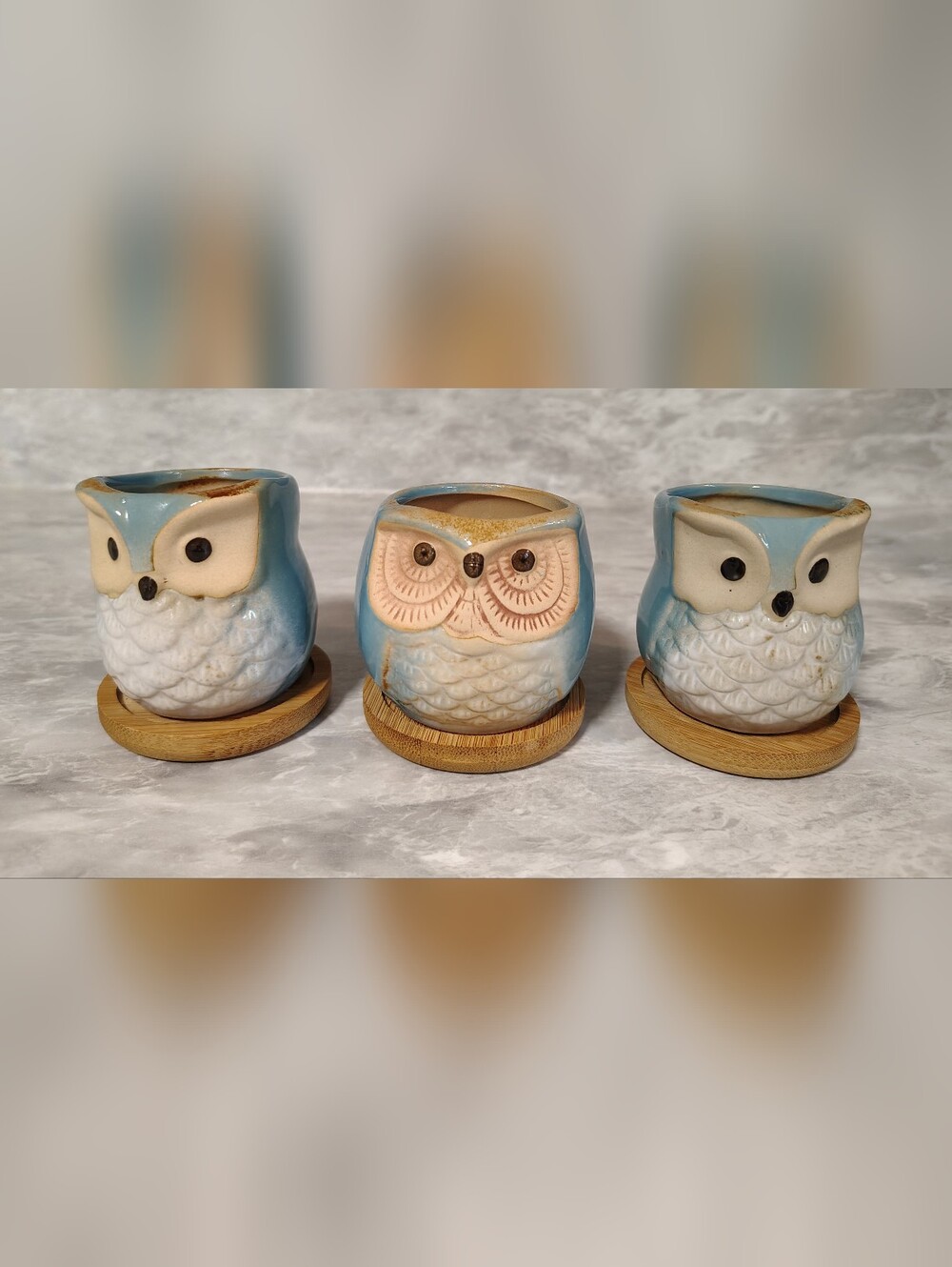 Set of 3 Owl Succulent Planters with Saucers